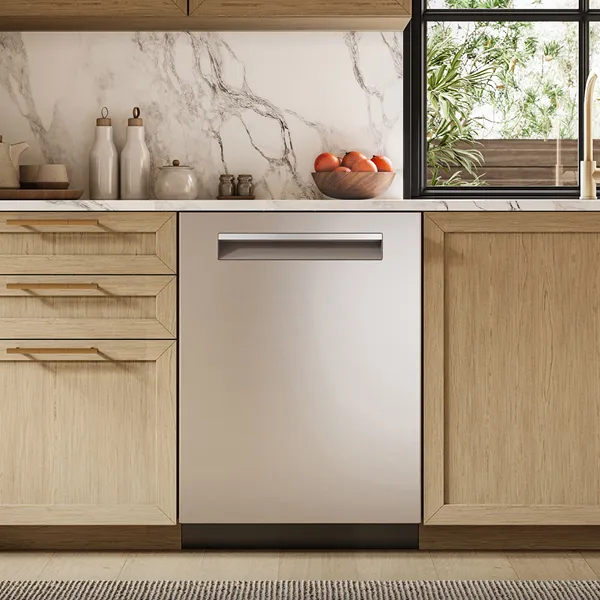 Bosch dishwasher insert repair by expert technicians